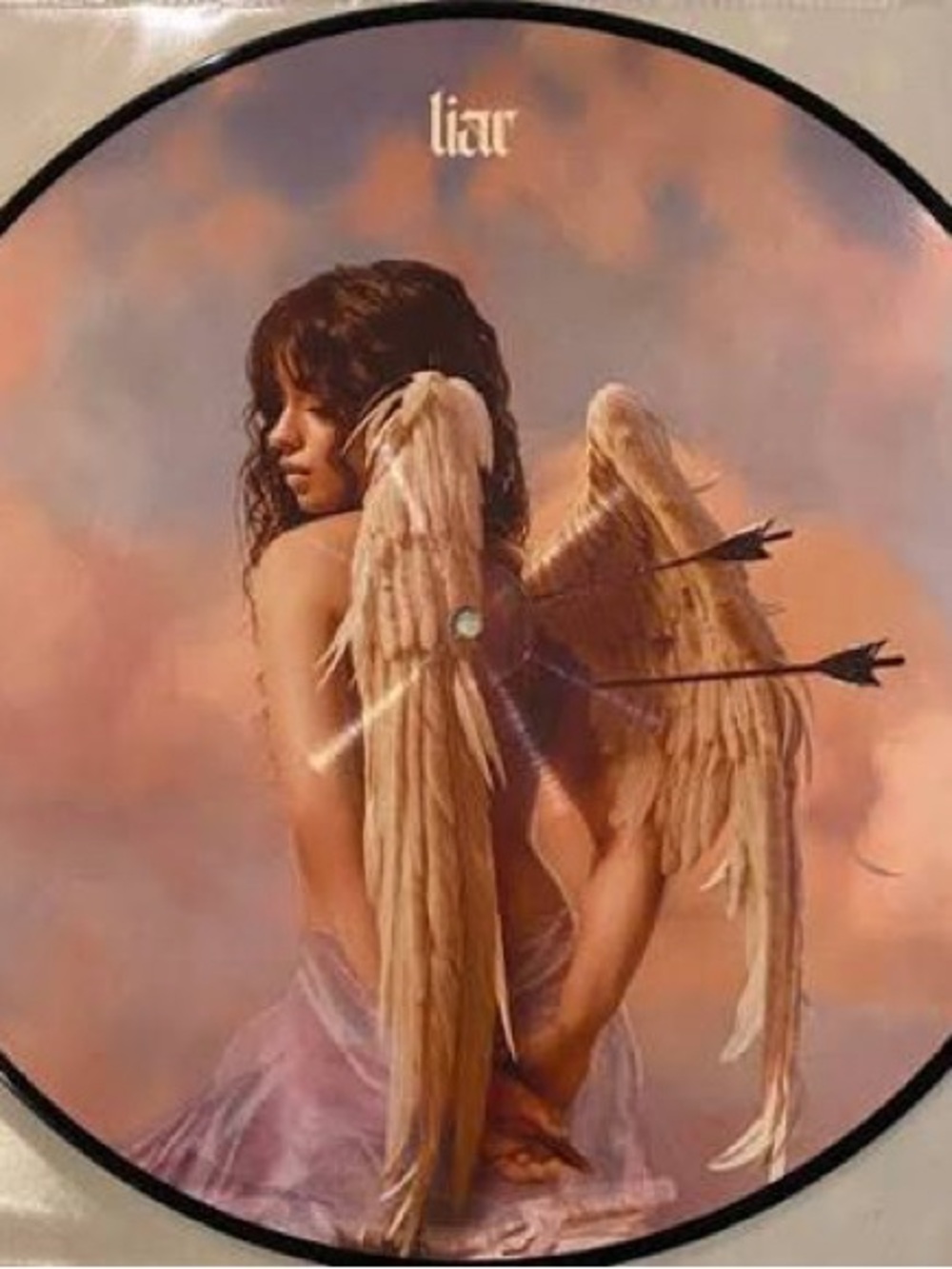 🎵NIP! Camila Cabello Liar / Shameless Picture Disc Vinyl